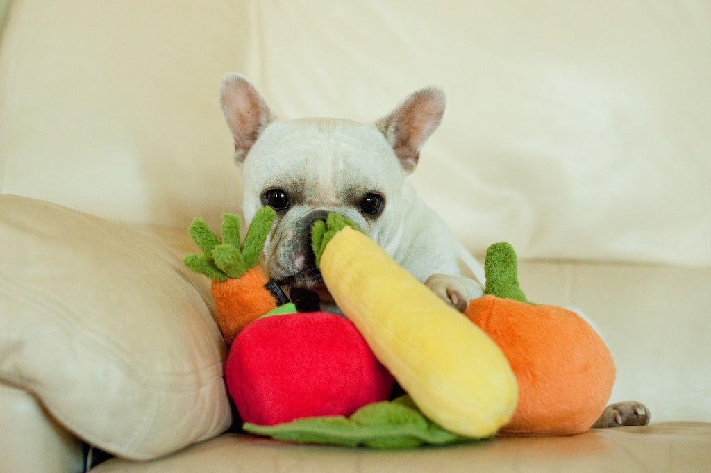 P.L.A.Y Garden Fresh Plush Carrot Dog Toy